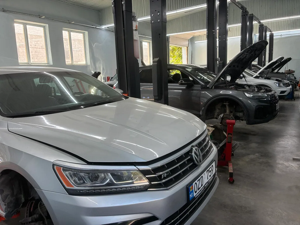 Зона обслуживания BRAVO MOTORS